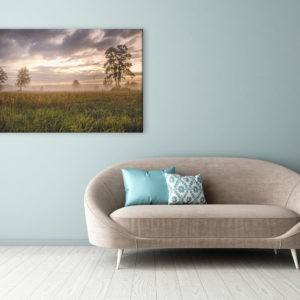 Obraz na płótnie canvas