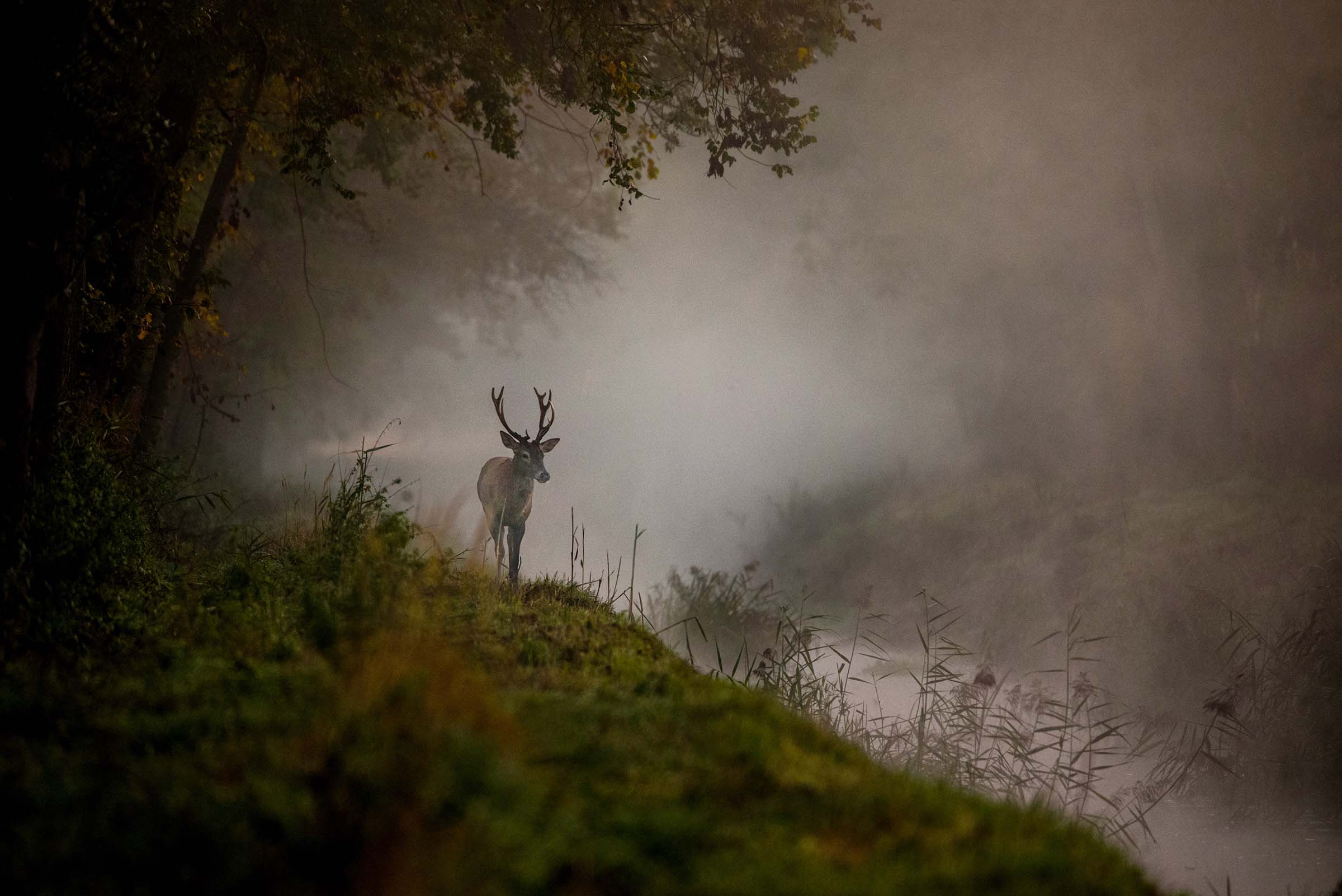 Photo by : Damian Musialski (www.damianmusialski.pl)
